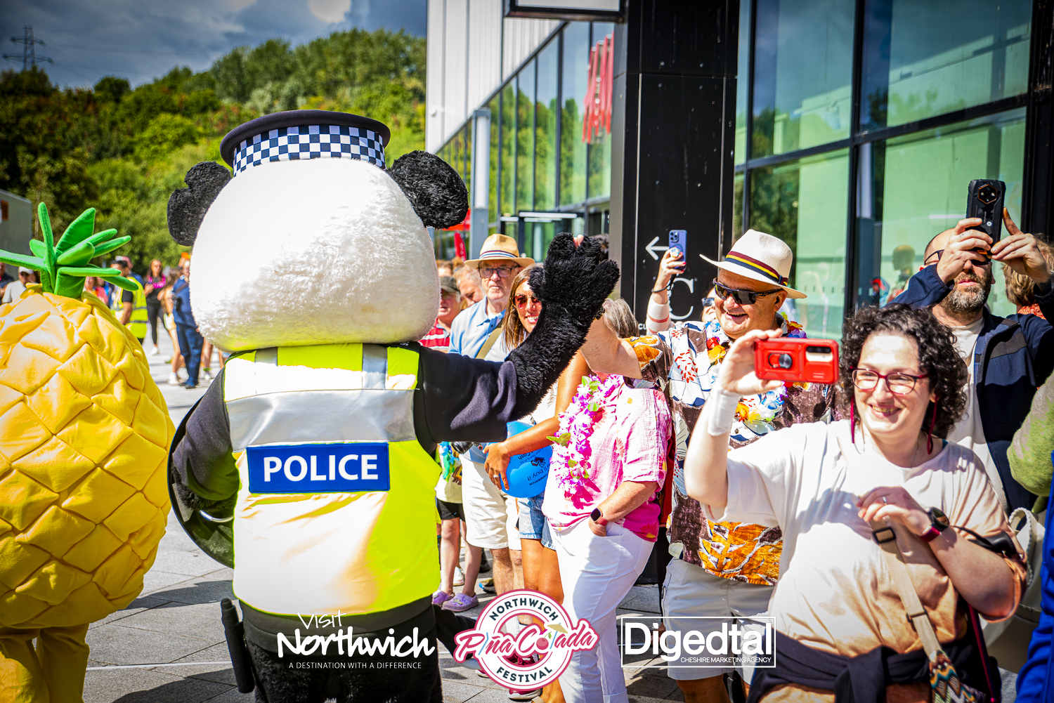 Gallery image 79