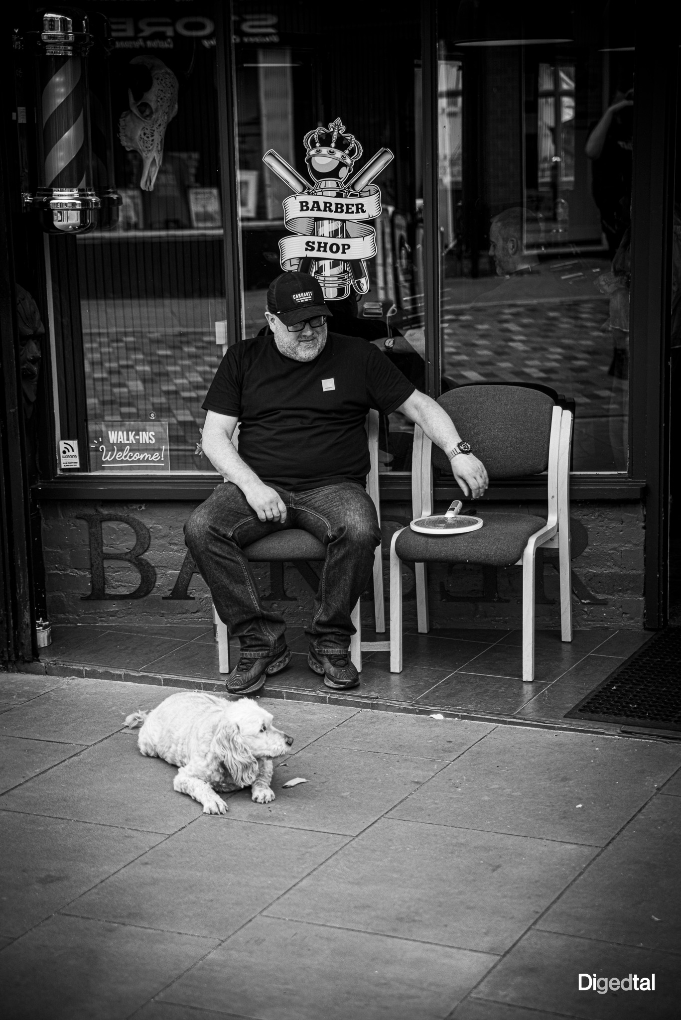 The Watchdog - Image 1